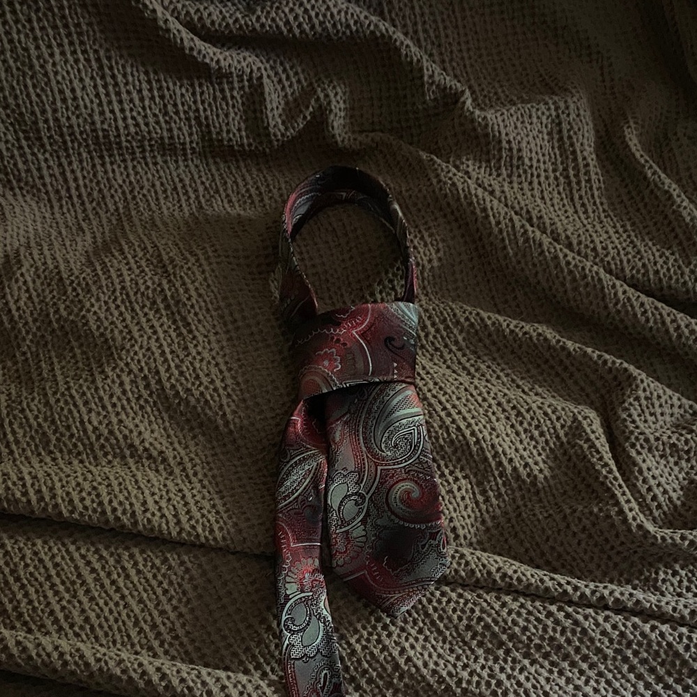 Van Heusen Elegant Paisley Tie in Burgundy and Silver